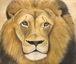 Lion in Pastels