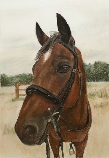 Horse in Pastels