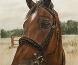 Horse in Pastels