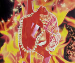 facesofvajrayogini9