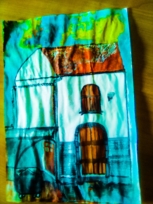 A minuscule house by Bina PS