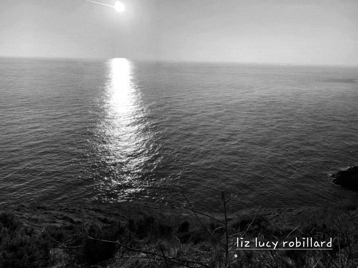 Shining in monochrome by Liz Lucy Robillard