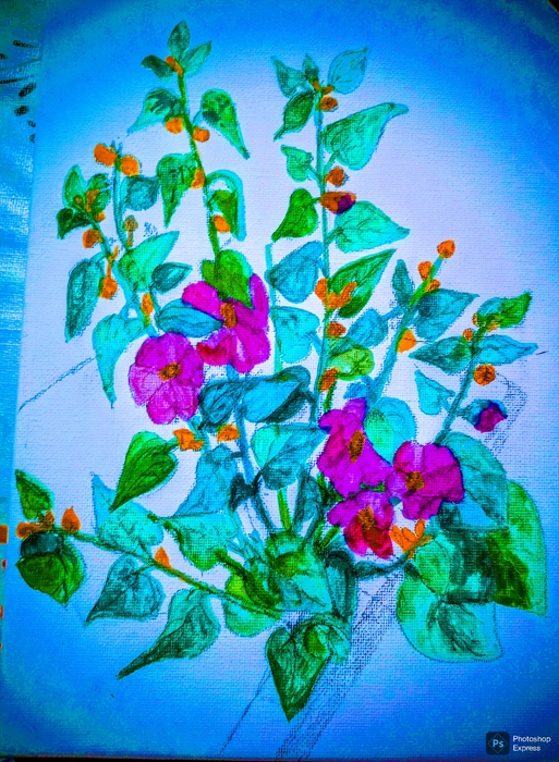 Wild Urban Plant by Bina PS
