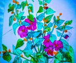 Wild Urban Plant