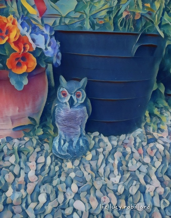 Owl b cyin u by Liz Lucy Robillard