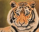 Tiger in Pastels