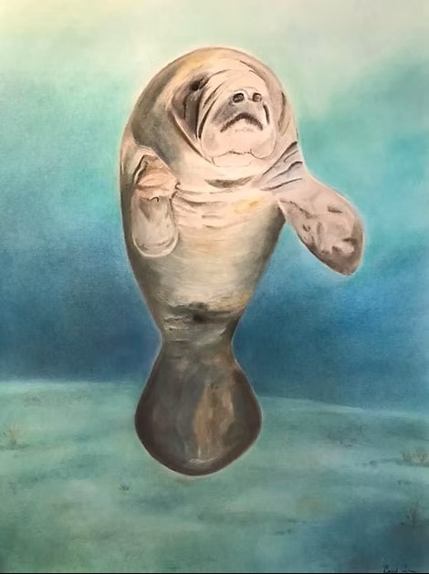 Manatee in Pastels 