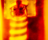 Serenity Bee