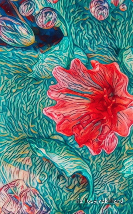 Flower Water by Liz Lucy Robillard