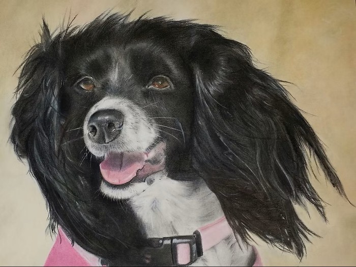 Spaniel in Pastels by Carol Ames