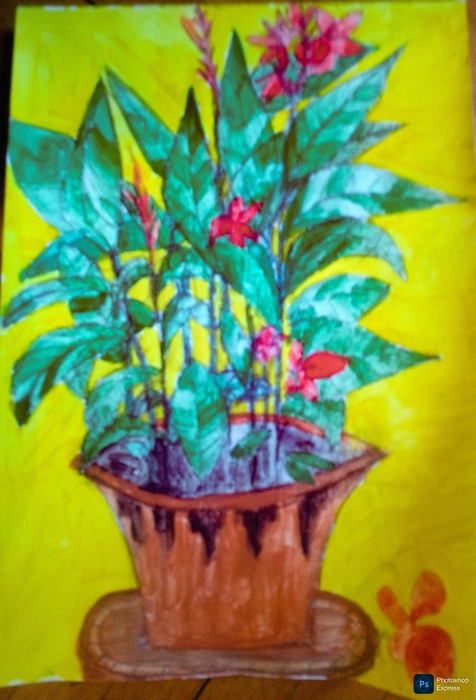 Flowers