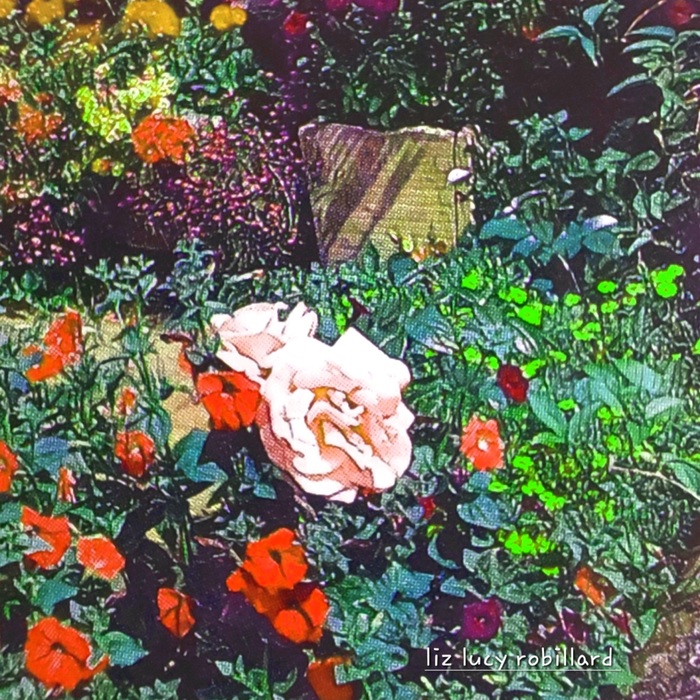 Secret garden  by Liz Lucy Robillard