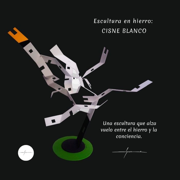 Cisne blanco by Leonel José iguaro marcano