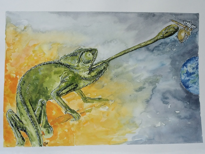 Who´s real winner by Jana Cechova