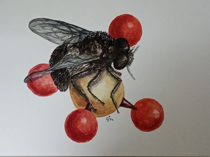 Importance is just a point of view by Jana Cechova