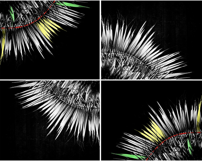 Radiance Fan_Collage4