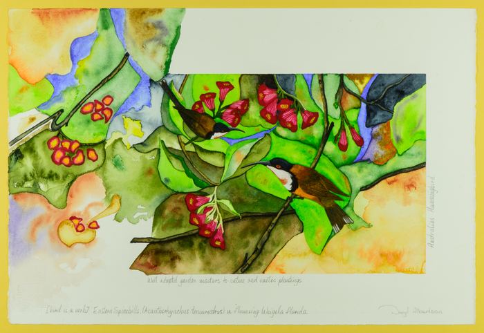 Australia's Hummingbirds in Weigela by Daryl Albertson                EcoArtist