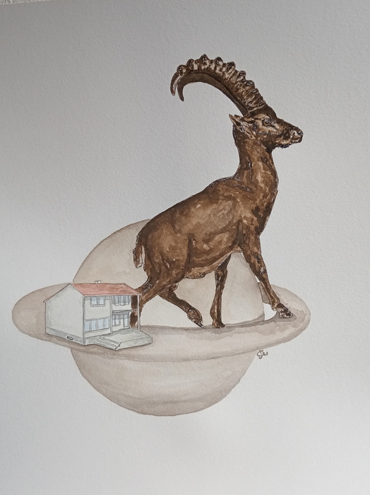 Capricorn by Jana Cechova