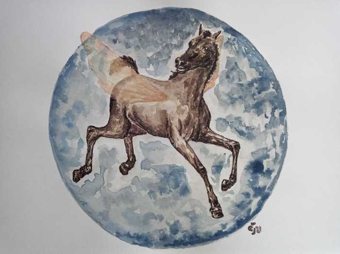 Dream by Jana Cechova