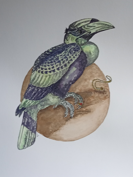 Libra by Jana Cechova