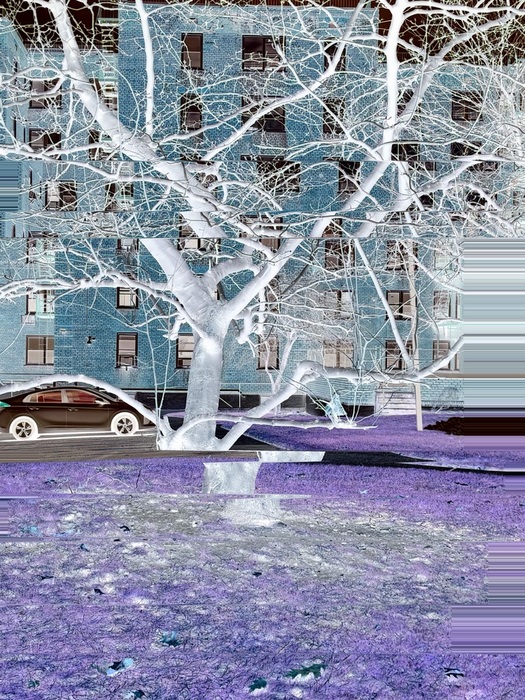 White Dream Sequence