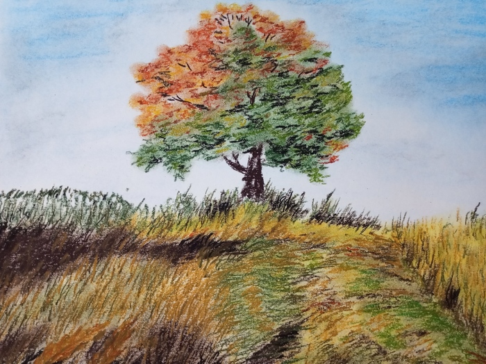 Solitary tree by Jana Cechova