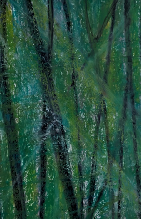 Green Silence by Laura Bernardeschi Nelson  by Laura Bernardeschi Nelson