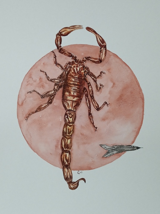 Scorpio by Jana Cechova