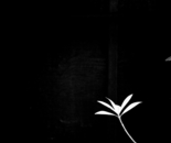 Weightless With Light