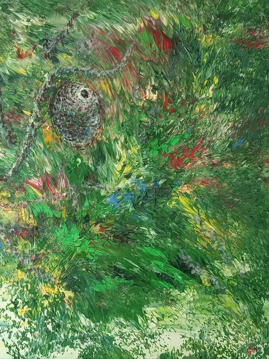 Find me if you can by Jana Cechova