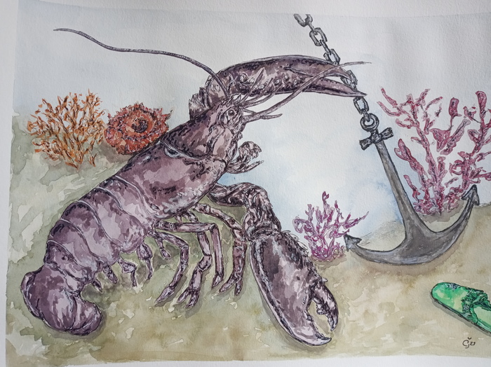 Freedom for the oceans by Jana Cechova