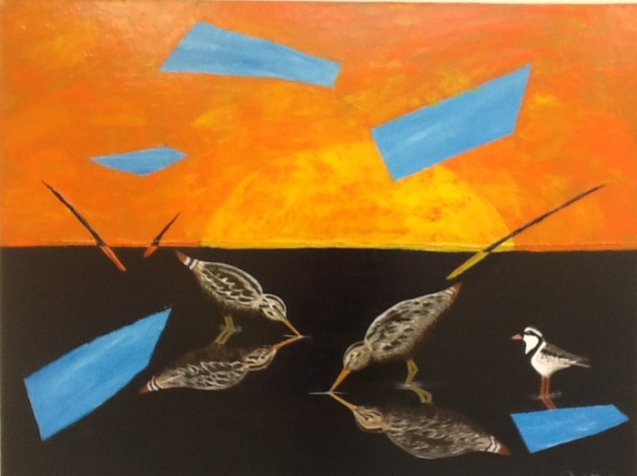 Sunset & Waders on the Gwydir  