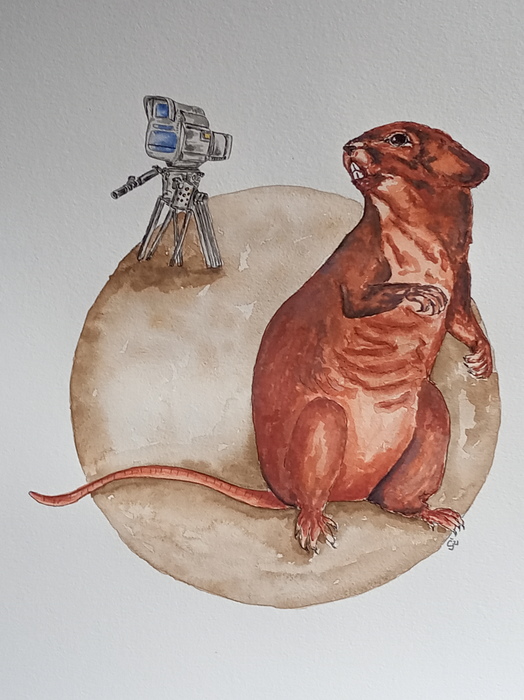 Gemini by Jana Cechova