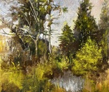 Along !3th Lake  Rd.