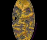 "Broken Magnolia of an Uncertain Soul".