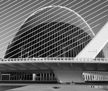 Silent Overture No. 1261