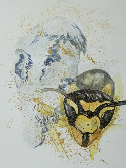 Shape-shifting by Jana Cechova