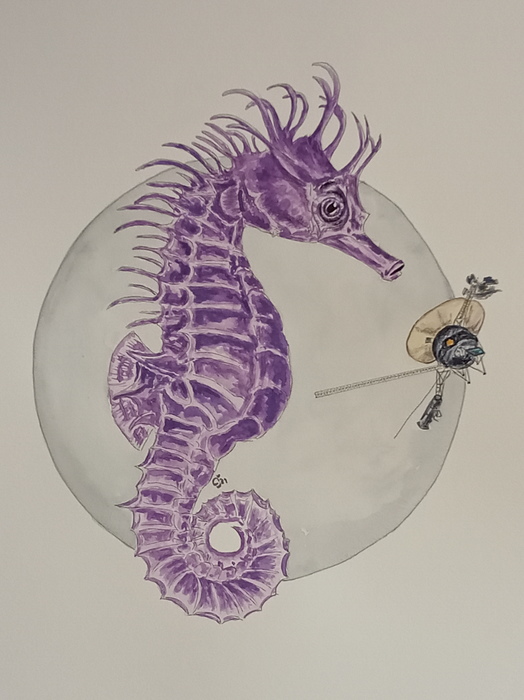 Aquarius by Jana Cechova