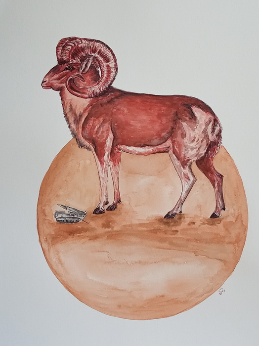 Aries by Jana Cechova