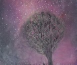 The Night Learns to Bloom by Laura Bernardeschi Nelson 