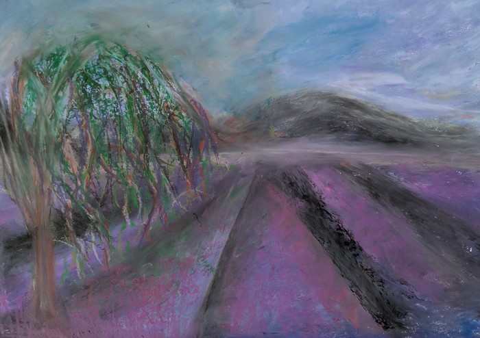 Lavender Field by Laura Bernardeschi Nelson