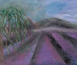 Lavender Field by Laura Bernardeschi Nelson