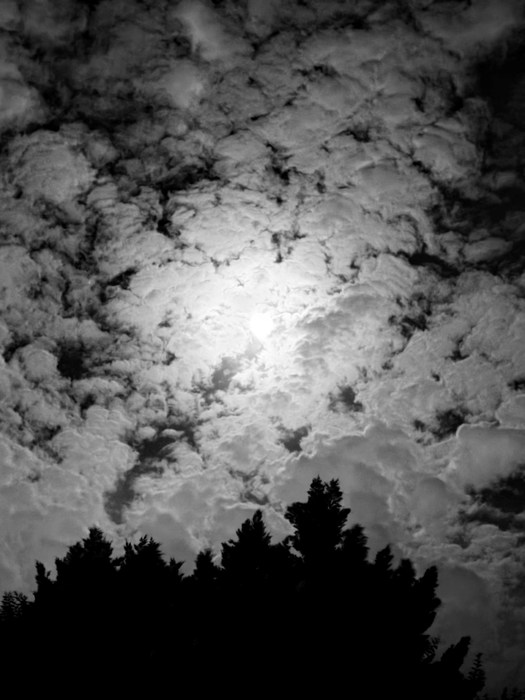 The Afterlife