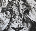 Name: Mona Faghani/ name of work: Captivity, power, freedom/ Dimensions: 100×70/ Technique: Charcoal drawing/ Year: 2024/ Price: Agreement