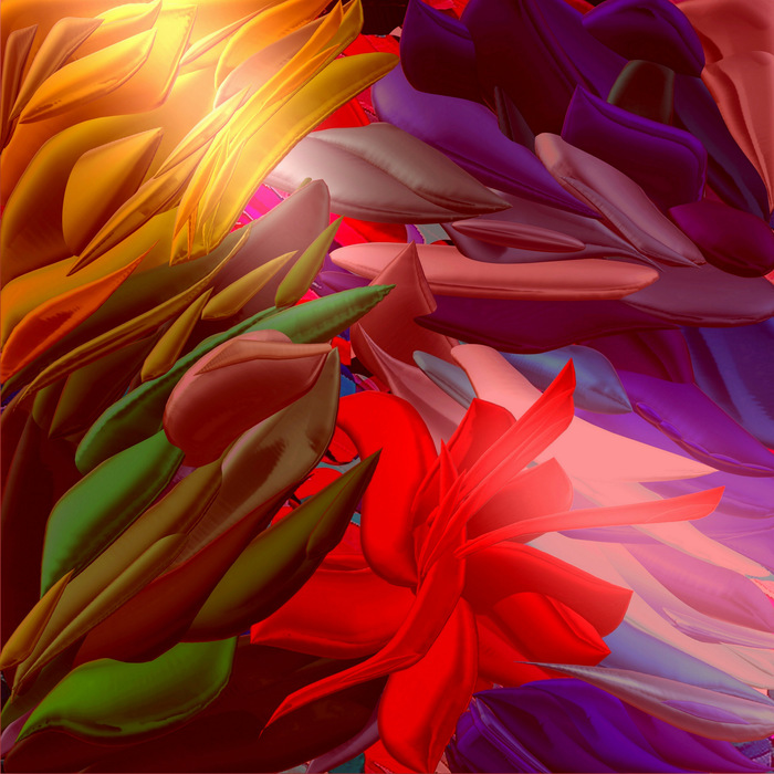 IL FIORE SCARLATTO