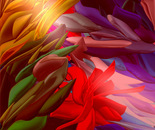 IL FIORE SCARLATTO