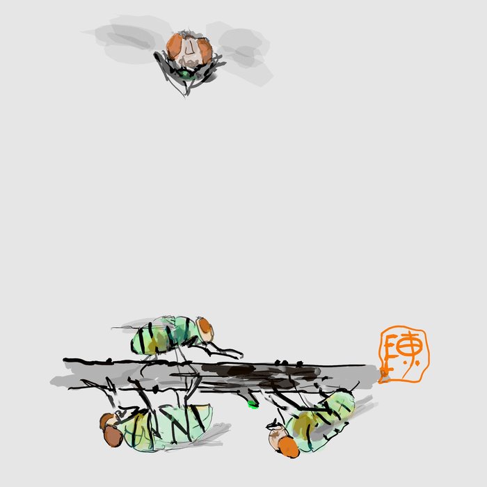 Flys coming Home