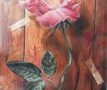 Name: Fatemeh Khademiyan/ Title: The Lonely Rose/ Dimensions: A4/ Technique: Colored Pencil/ Year: 2026/ Price:100$