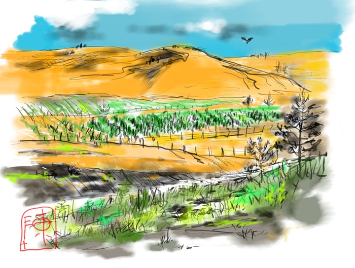 Hay in Idaho Fields