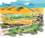 Hay in Idaho Fields